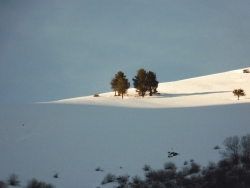 https://juliesteyer.com/files/gimgs/th-24_Pyrenees Julie Steyer.jpg